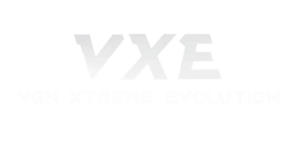 vxe brand