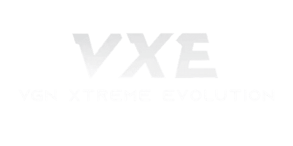 vxe brand
