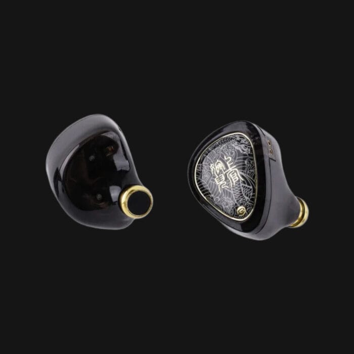 TANGZU Waner SG 2 – IEM Dinâmico HiFi de 10mm com Cabo OFC e Conector 2-Pin